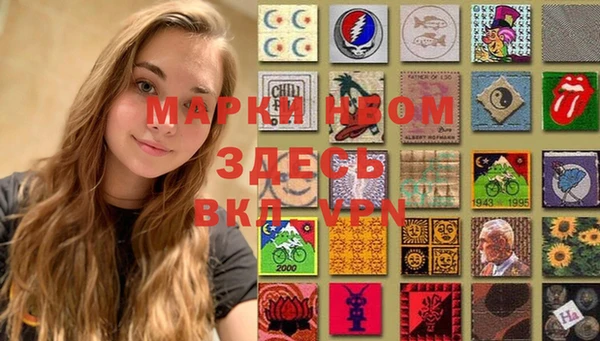 гидра Богданович