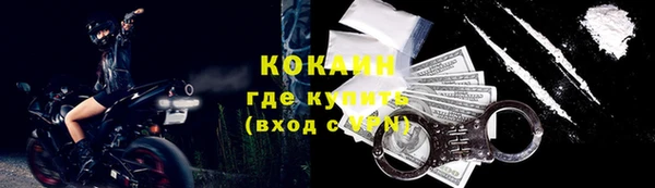 таблы Богородицк