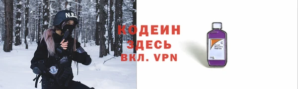 гидра Богданович