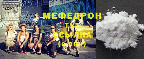 гидра Богданович
