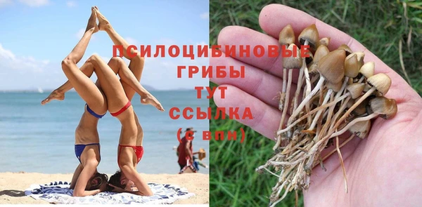 PSILOCYBIN Ивантеевка