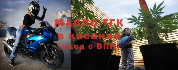 гидра Богданович