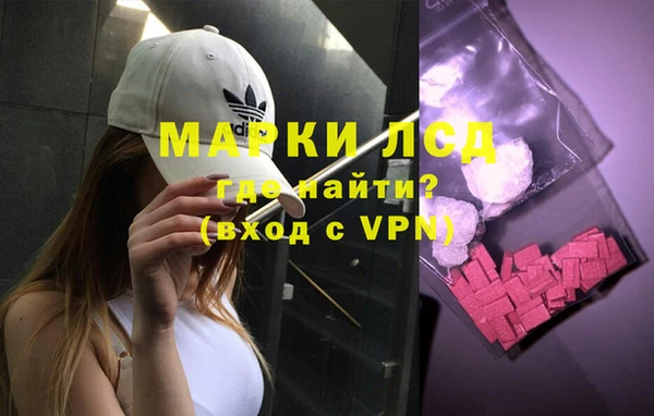 гидра Богданович