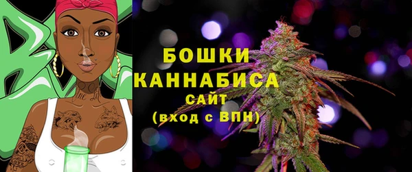 таблы Богородицк