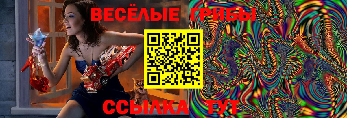 Воскресенск  Псилоцибиновые грибы Psilocybe  Вход с VPN 